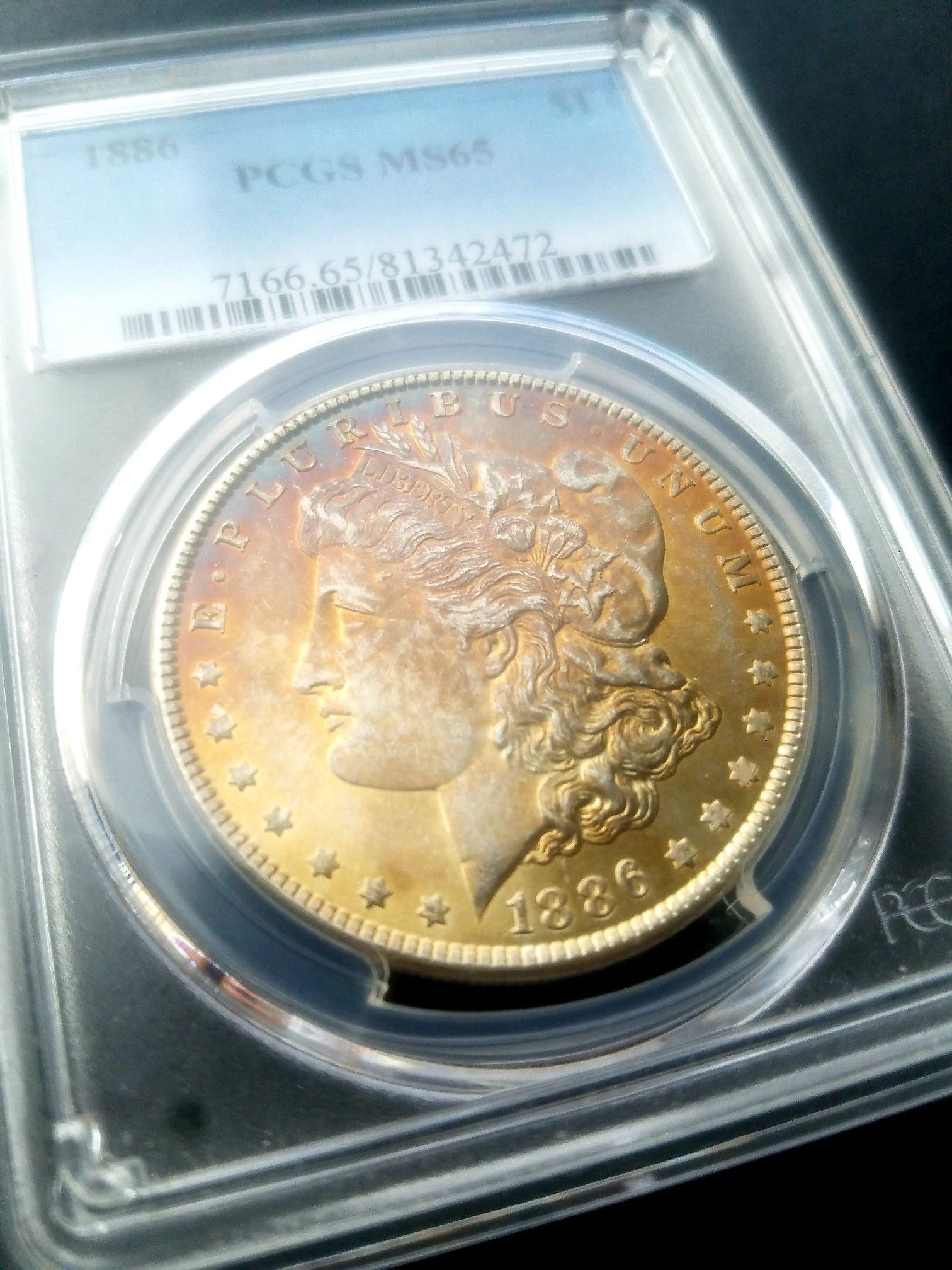 Monster toned Morgan silver dollar