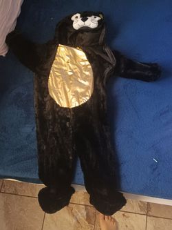 Disfraz cat size 3