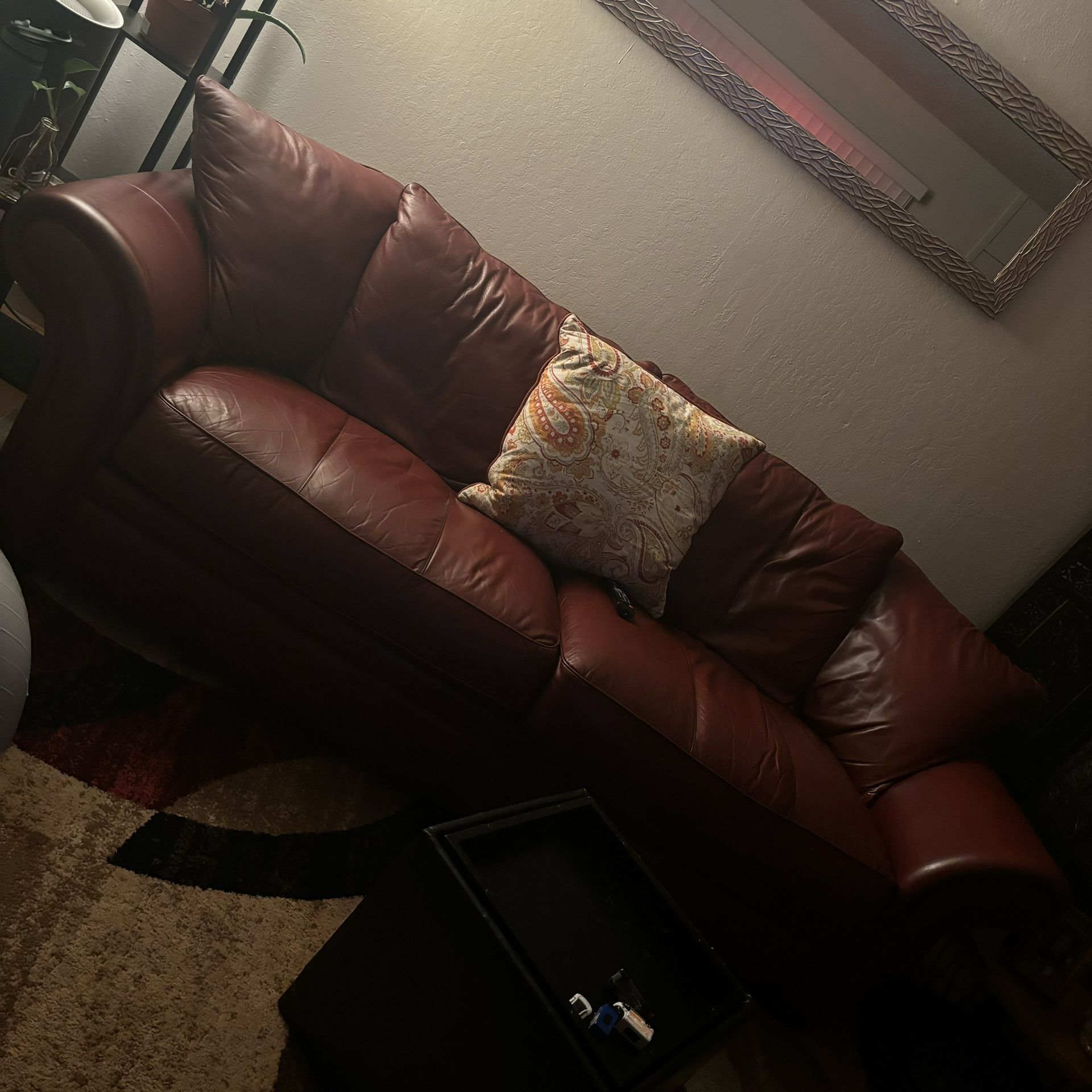 Costco Couch Plus Love Seat