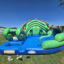 Large Dragon Waterslide 