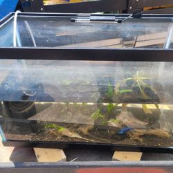 Fish Tank With Oxygen Pump And Light Set Up