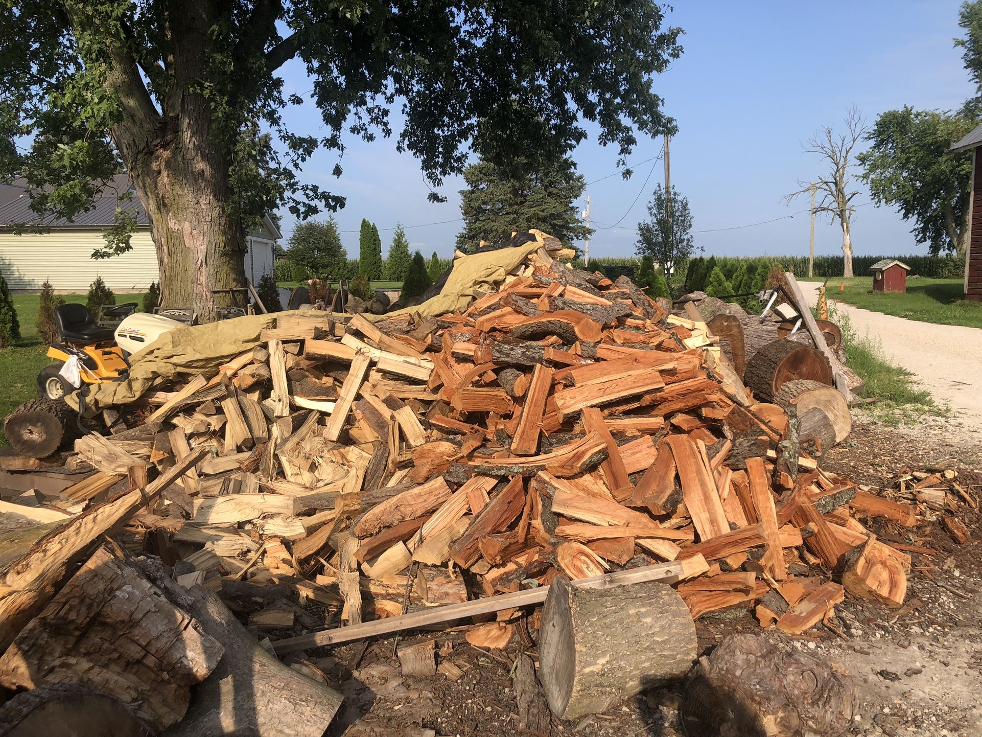Firewood