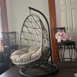 Hammock Cat