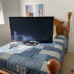 50” Plazma