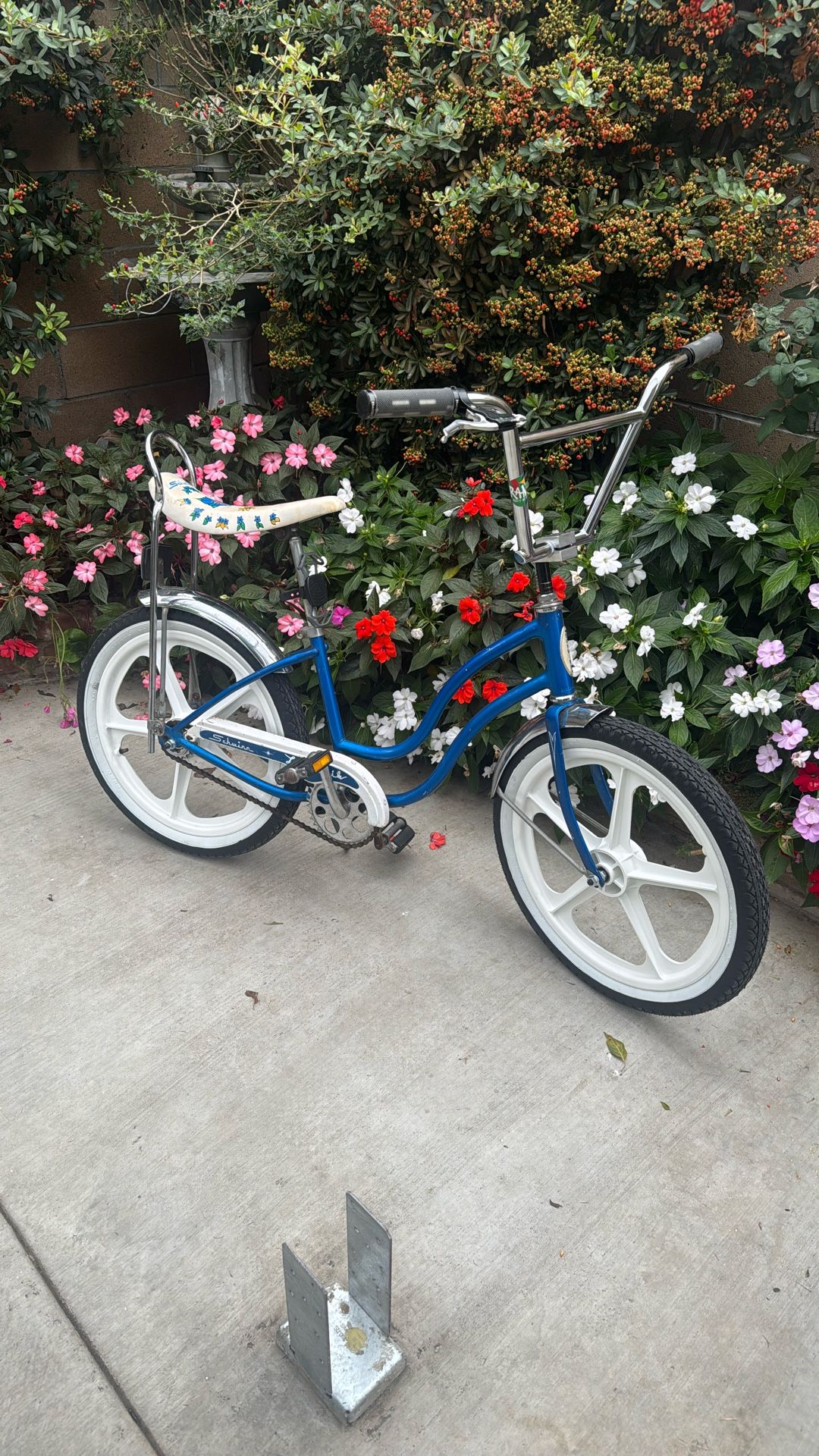 20” Schwinn Lil Chik