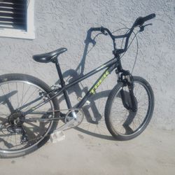 BMX 24 Inch Custom Cruiser $350