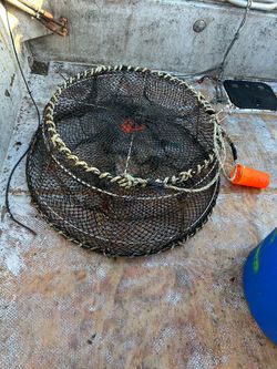 Coonstripe Shrimp Traps