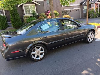 Rabashis Maxima 4 Sale $3200