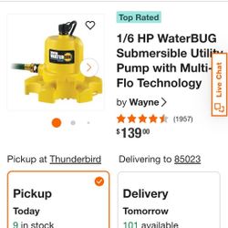 Water Bug Water Pump 