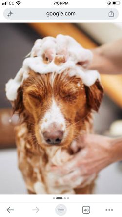 Doggie Hygiene Package