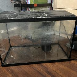 5 Gallon Tank