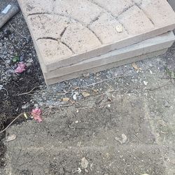 Step stone garden. 8 for 25.00 this weekend only . Laguna hills city picup.