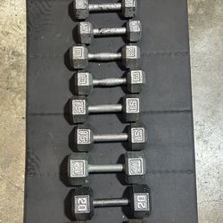 Weights, Dumbbells 