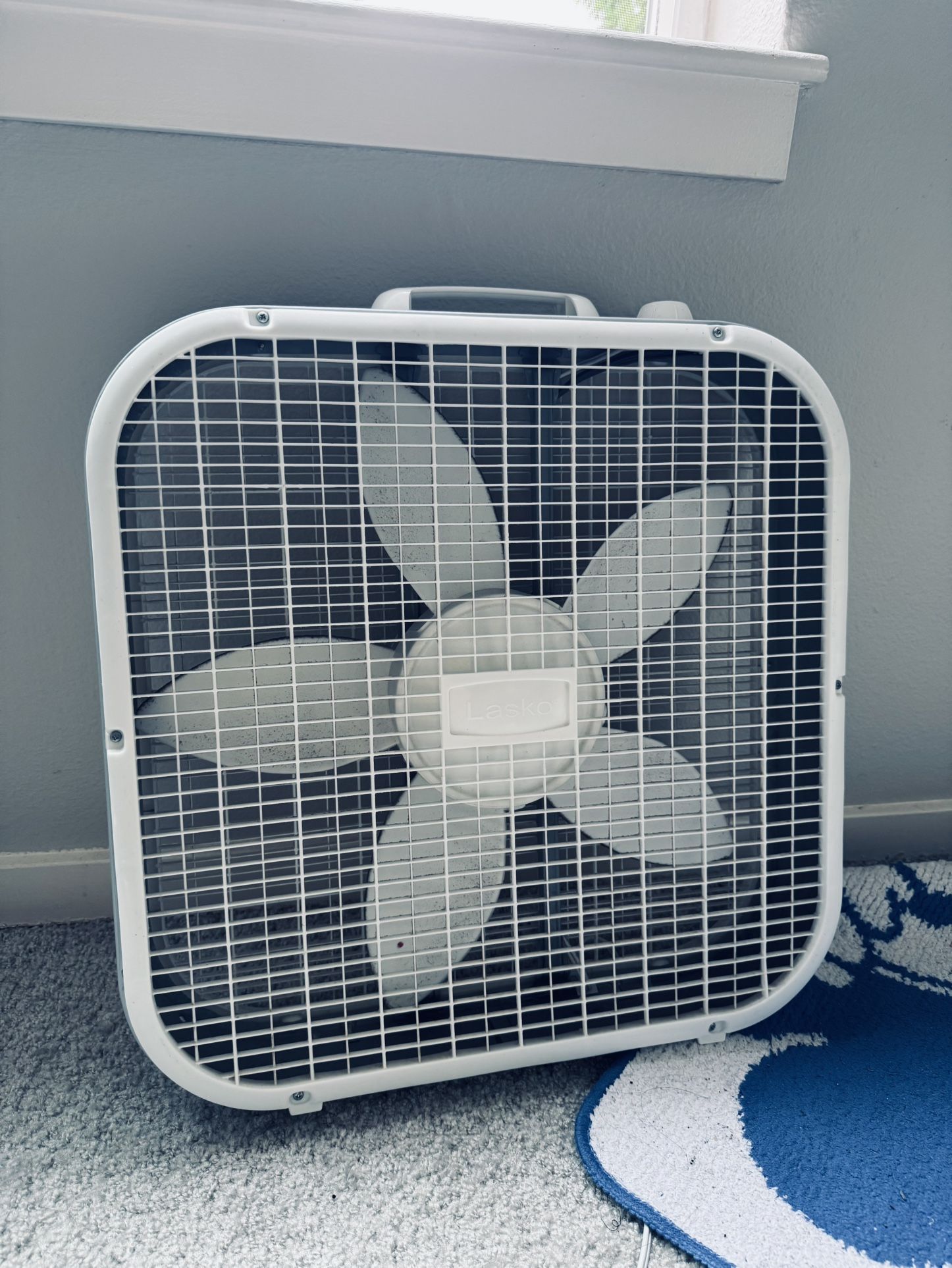 Fan