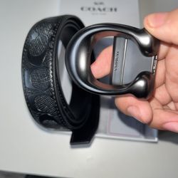 Coach Belt