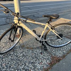 Dynacraft Alpine Eagle Bike 