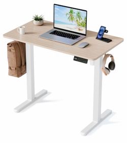 Electric Standing Desk
