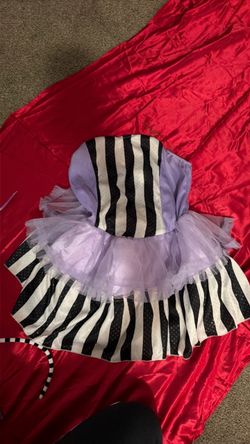 Teen Fairy Costume 12/14
