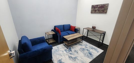 Furniture Set All parts included; couch, chair, rug, tables, desk and wall art