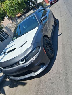 Salvaje