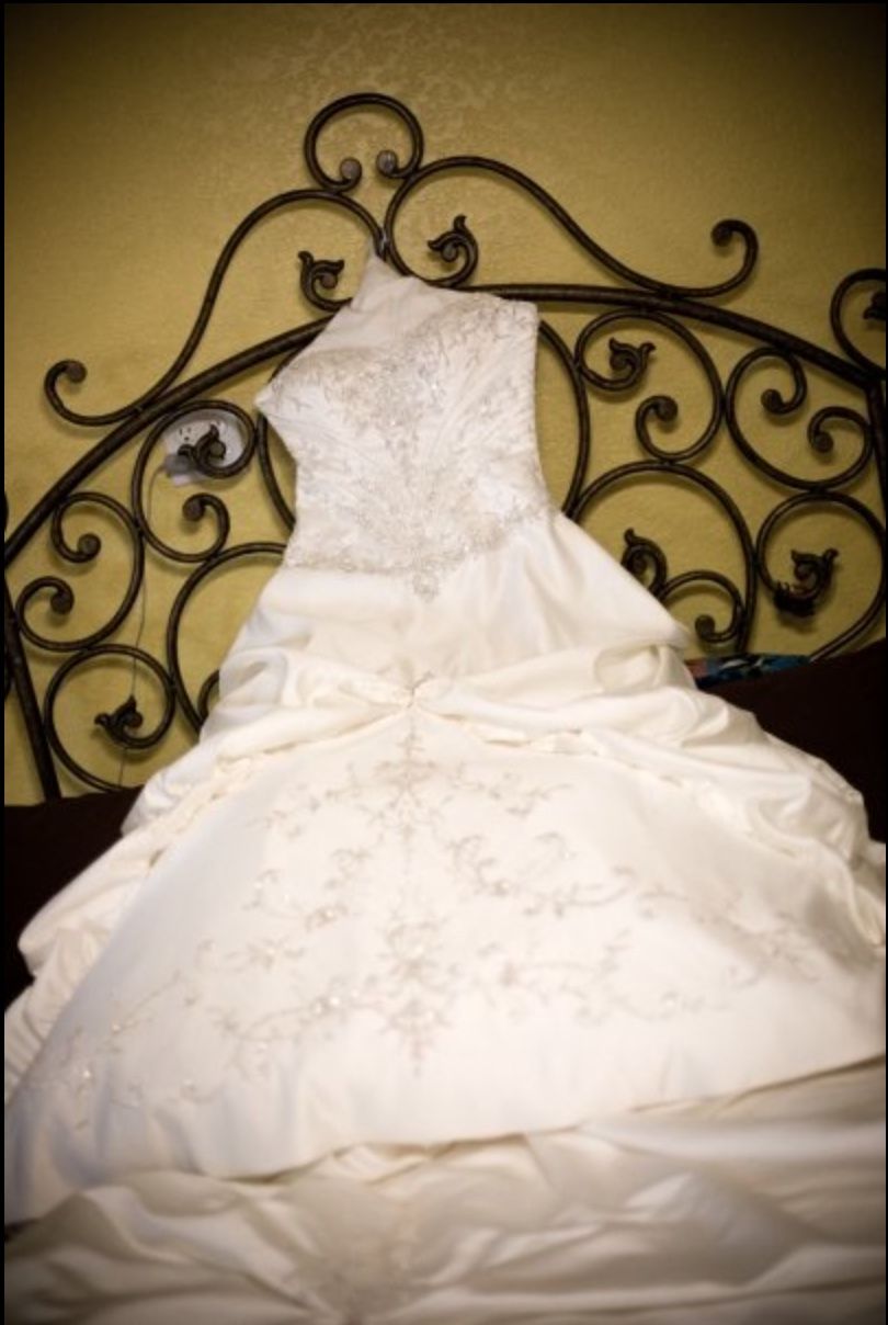 PLUS SIZE DESIGNER DRESS! 