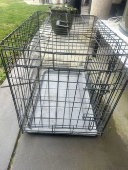Medium Dog Crate