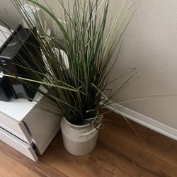 Fake Plant