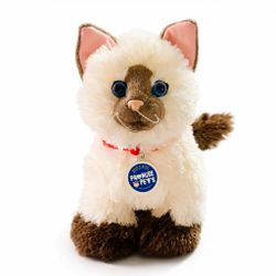 Build-A-Bear Promise Pets Siamese Himalayan Cat Plush 12” BAB Kitten w/ Collar Tag EUC Soft Stuffed Animal 2018