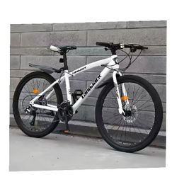 Mature Bike Easy Riding for Everyday Use unit life