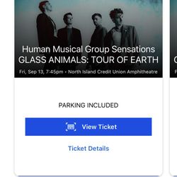 2 Tix for Glass Animals 9/13/2024