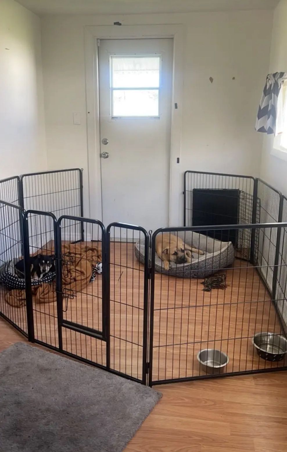 Brand new 32 inch 8-panel portable dog fence