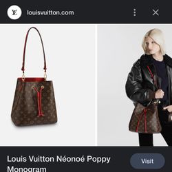 Louis Vuitton Bag Authentic 