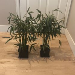 2 Faux Bamboo Decor Plants
