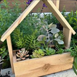 NEW Planter Boxes