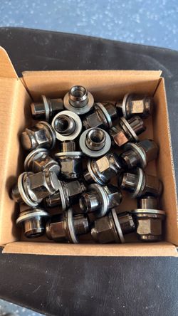 Wheel lug nuts