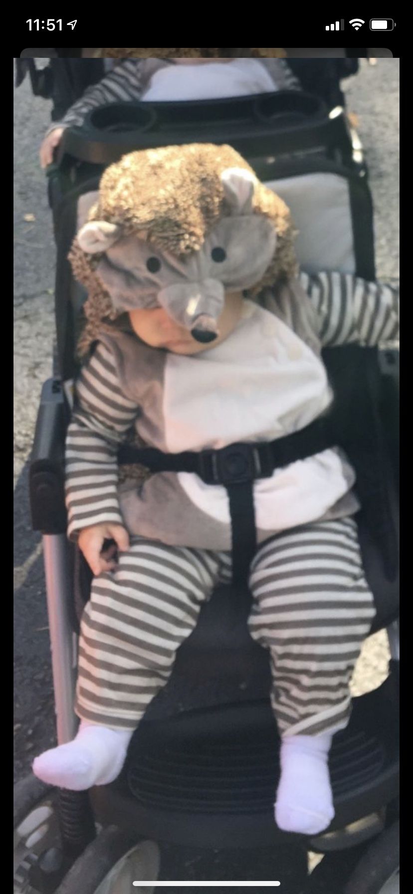 Hedgehog baby costume