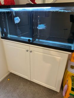Fish tank