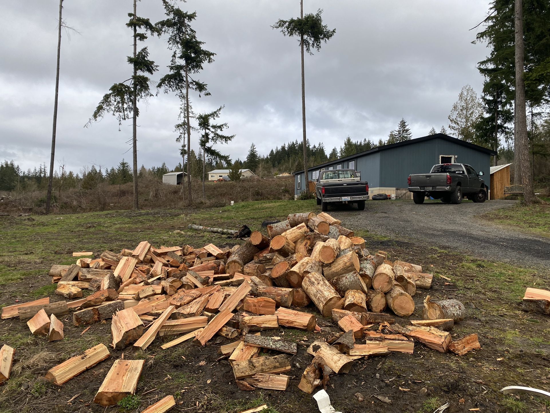 Firewood
