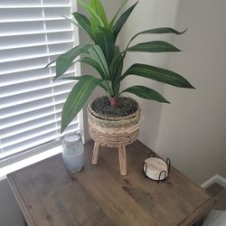 Faux Plant