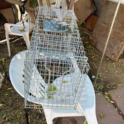Cage