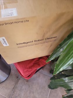 Robot cleaner
