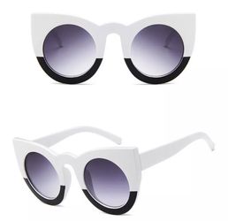 Black and white cat frames