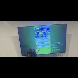 75 Inch Samsung Smart TV
