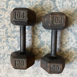 20lb Dumbbells