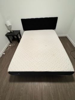 Cocoon by Sealy Queen Mattress