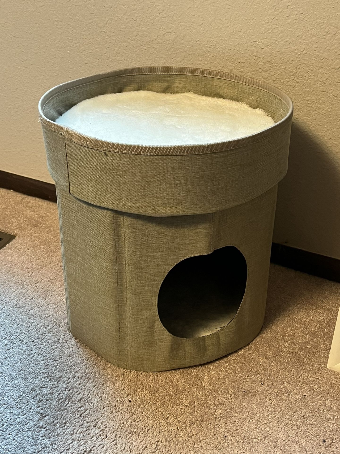 Fun Cat Items