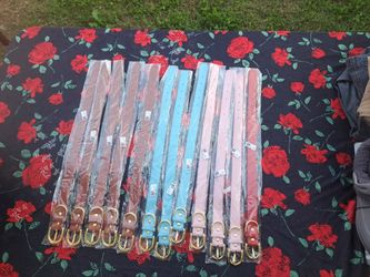 Dog Collars