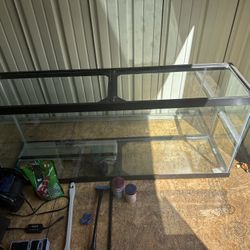 Fish Tank And Supplies