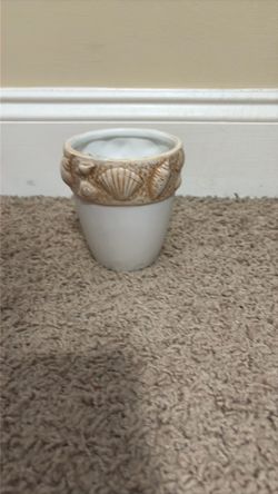 Shell Theme Cup