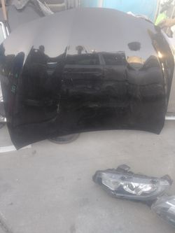 2018-19 camry hood clean